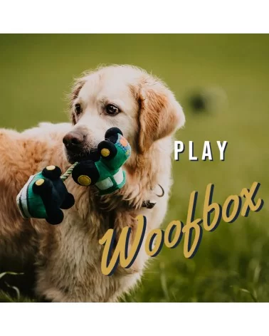 Play Woofbox