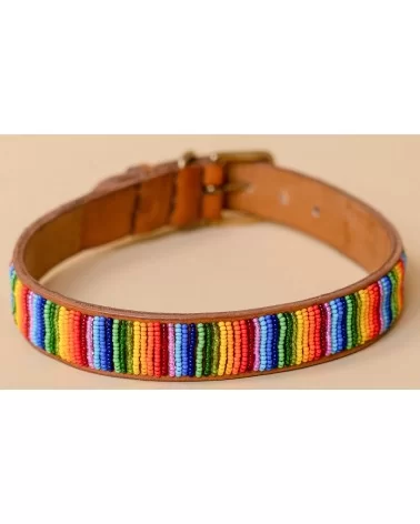 Halsband Rainbow