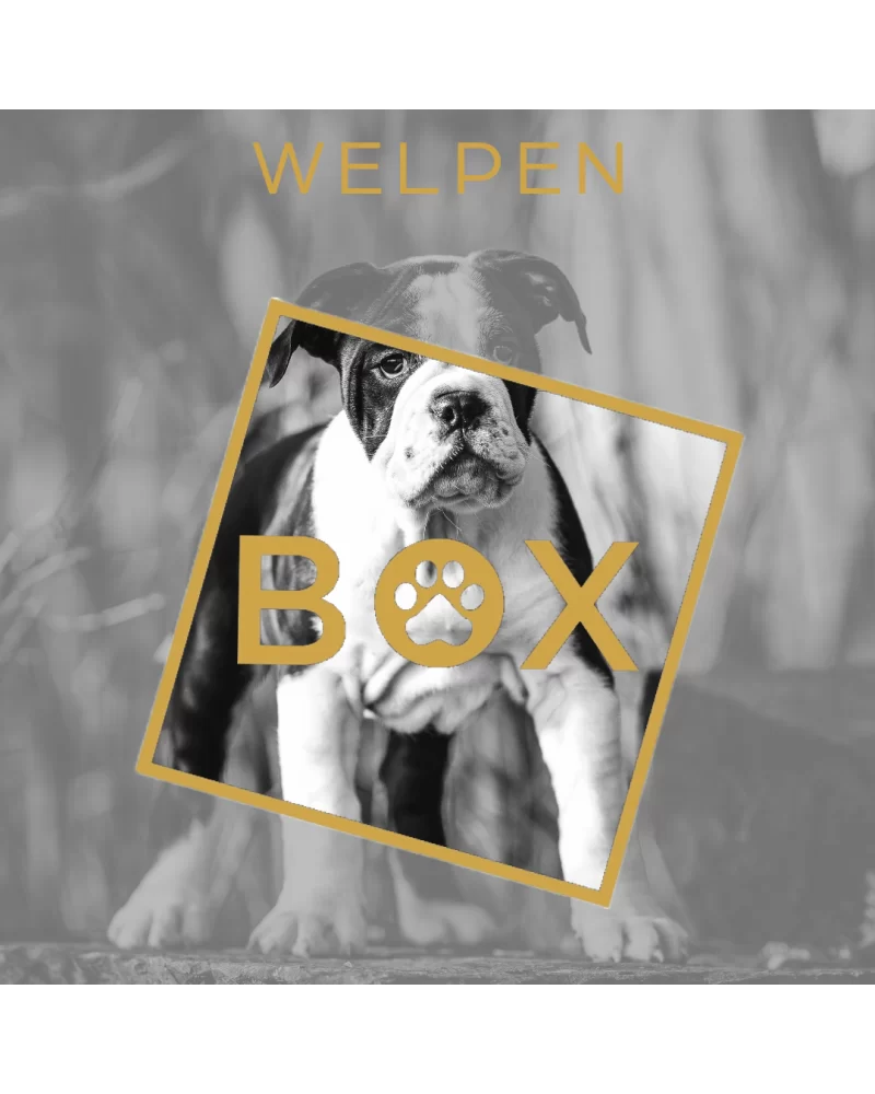 Welpen-Woofbox