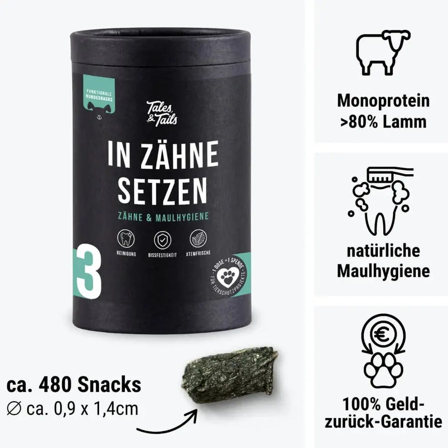 Nr. 3 In Zähne setzen für Hunde Tales & Tails