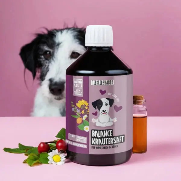 Balance Kräutersaft für Hunde - 500 ml Tierliebhaber