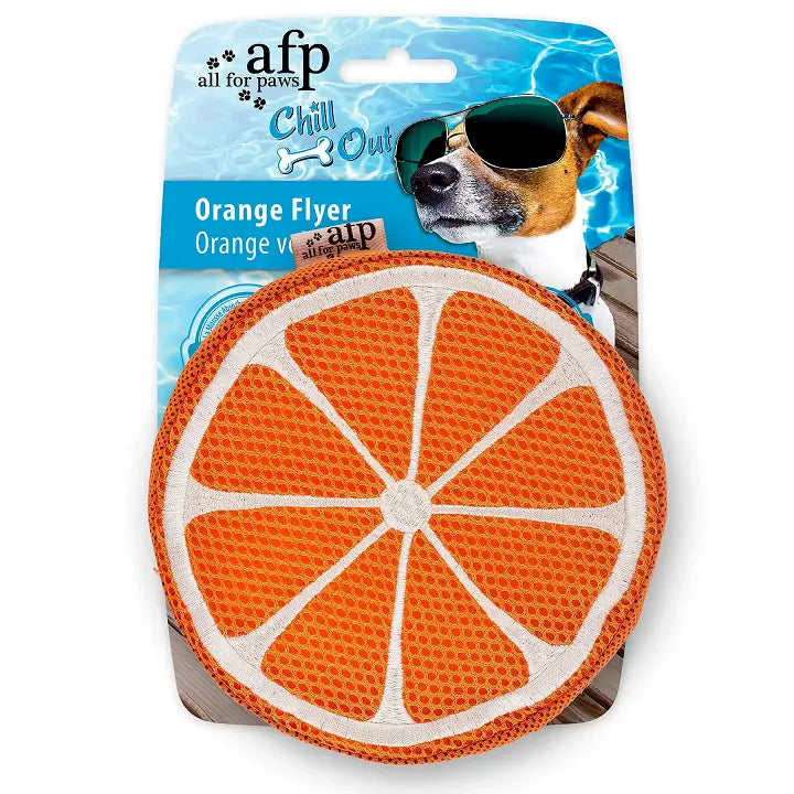Hunde Schwimmspielzeug Flyer Woofbox