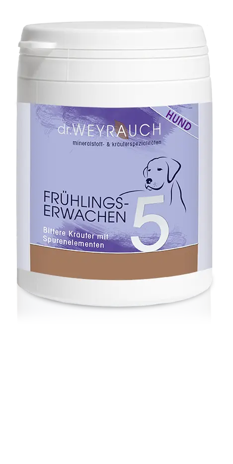 Dr. Weyrauch Nr. 5 Frühlingserwachen
