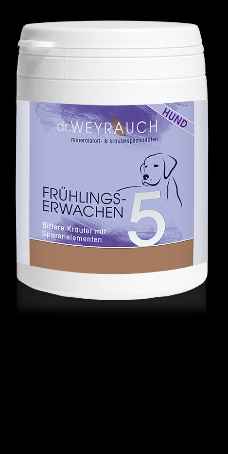 Dr. Weyrauch Nr. 5 Frühlingserwachen