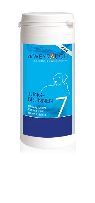 Dr. Weyrauch Nr. 7 Jungbrunnen