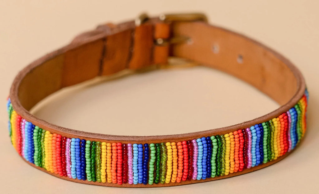 Halsband Rainbow