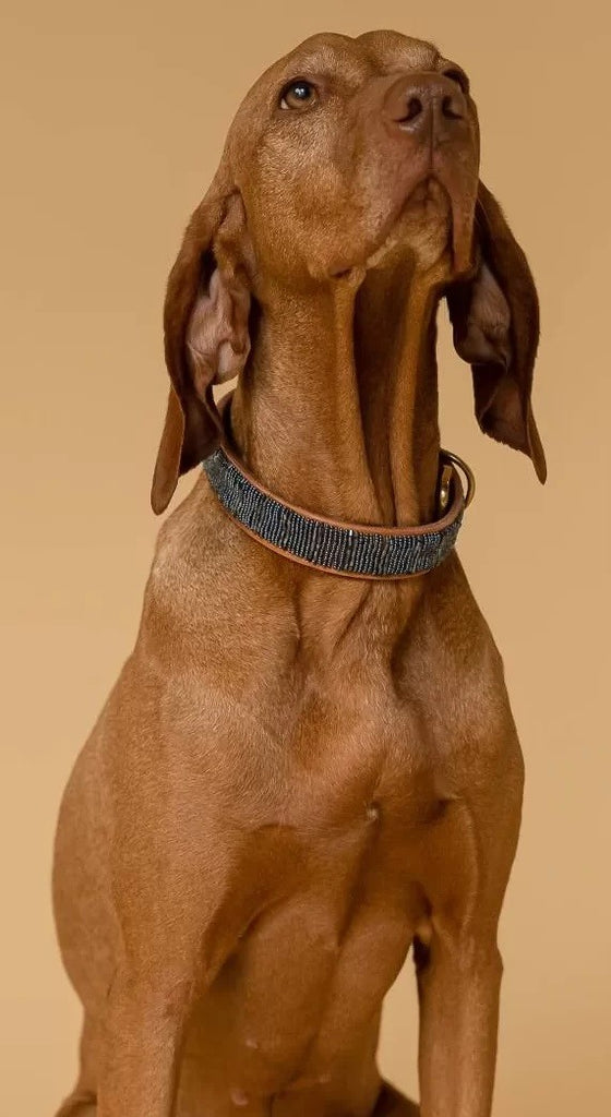 Halsband Starry Night am Model