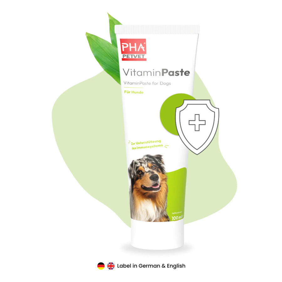 PHA VitaminPaste für Hunde 100ml PHA