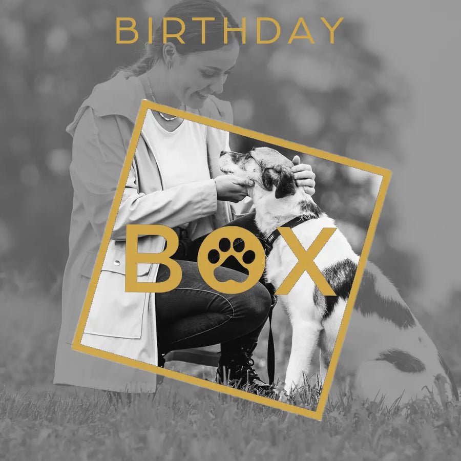 Birthday Box