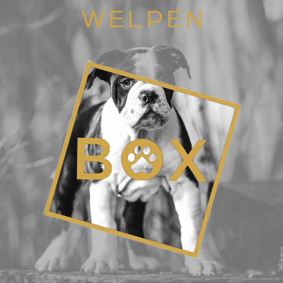 Welpen-Woofbox