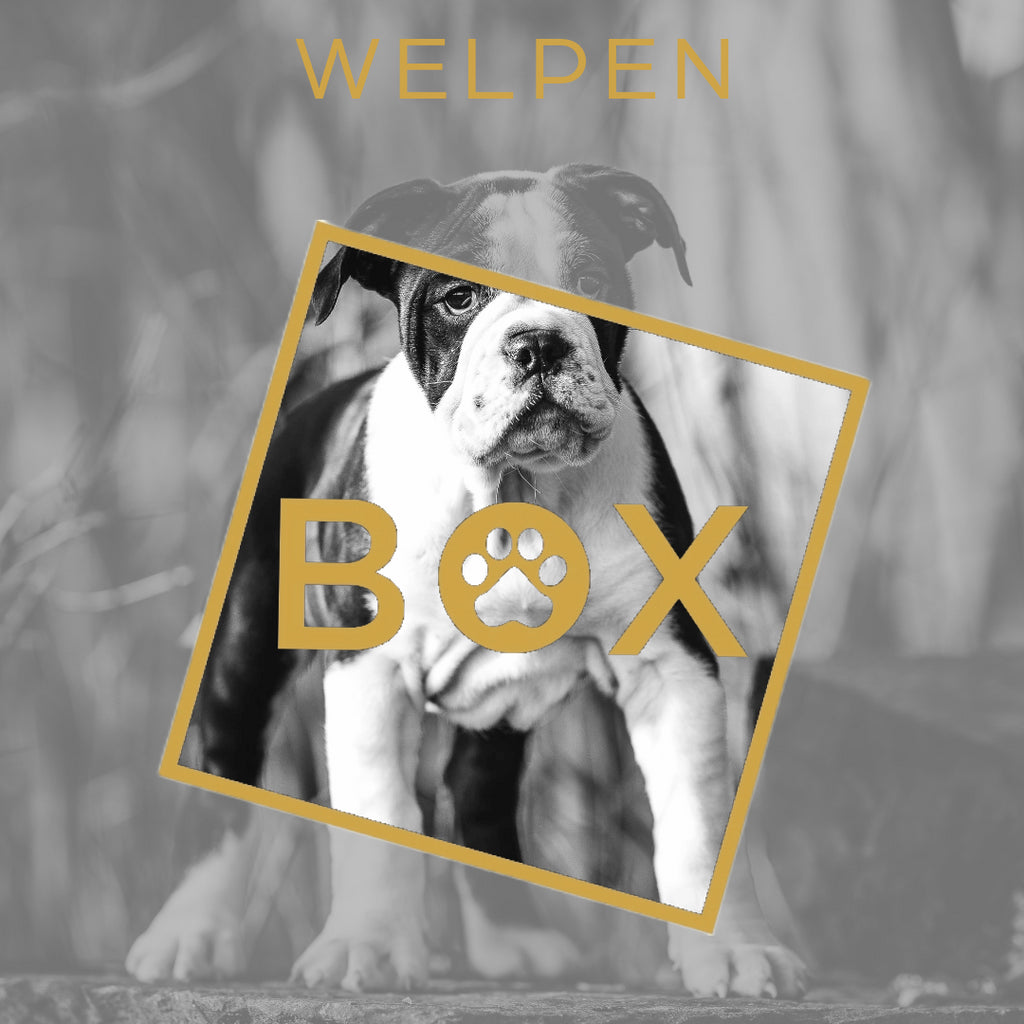 Welpen-Woofbox