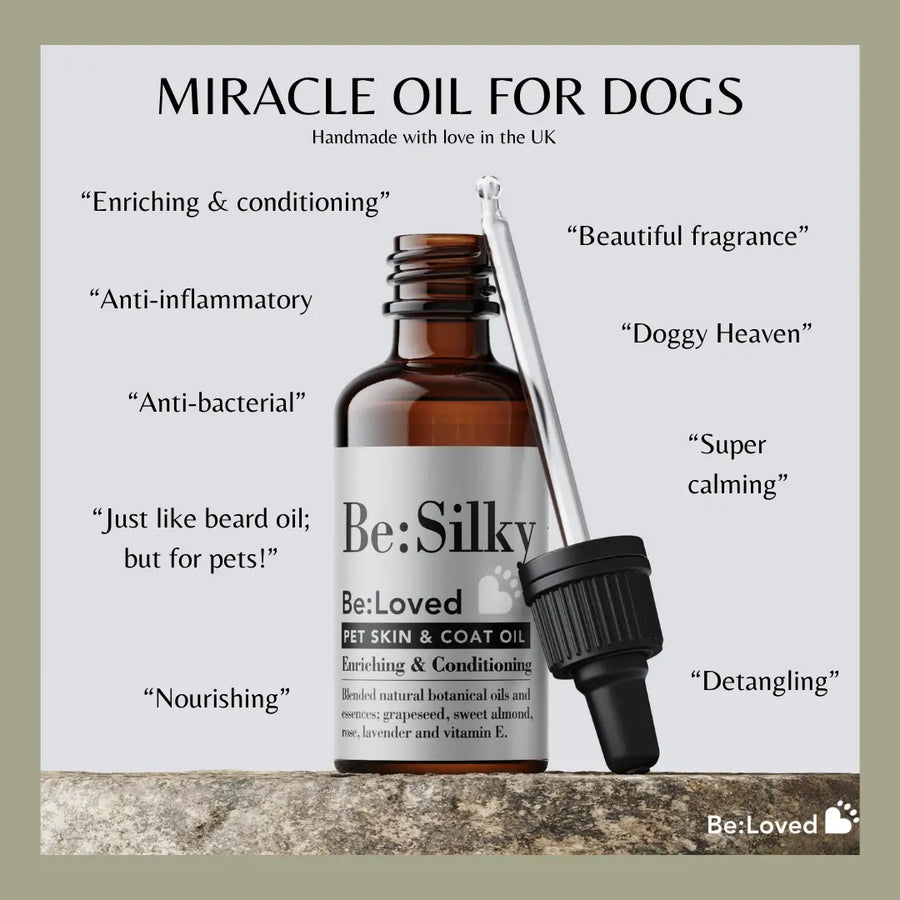 Be:Silky, entwirrendes Duft- und Massageöl für Hunde BeLoved, Natural Dog Grooming Products.