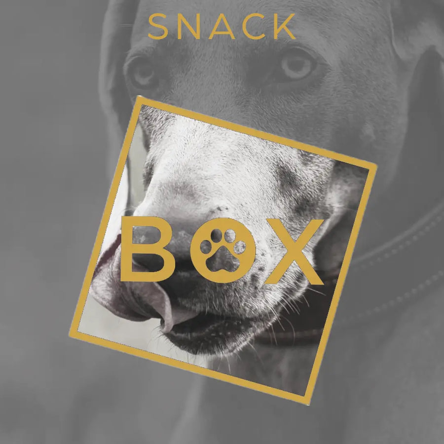 Snack Box