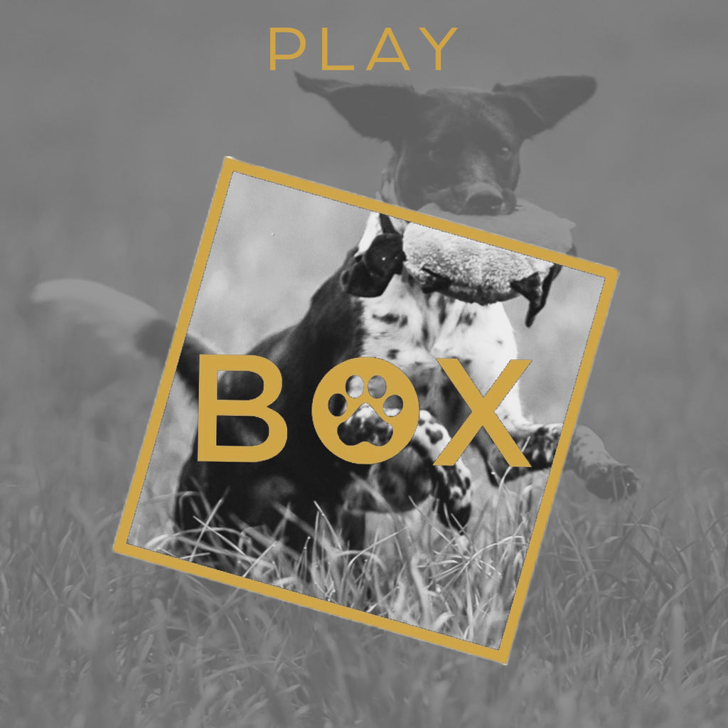 Play Woofbox