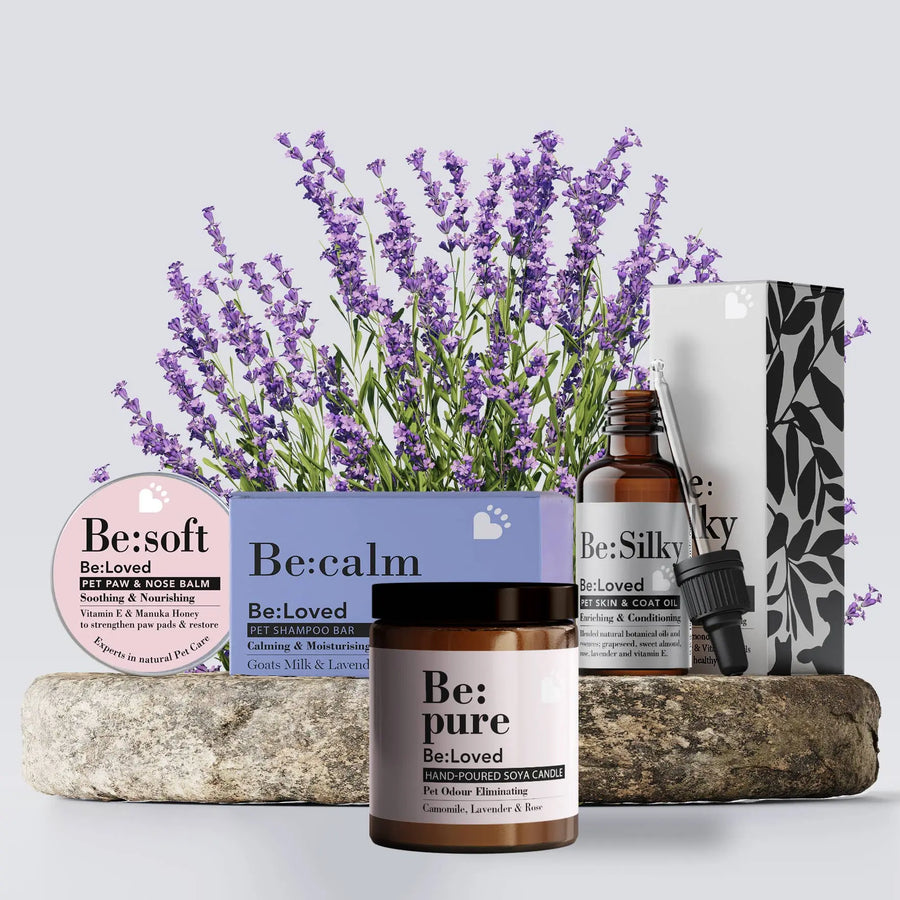 Hunde-Pflege Geschenkpaket BeLoved, Natural Dog Grooming Products.