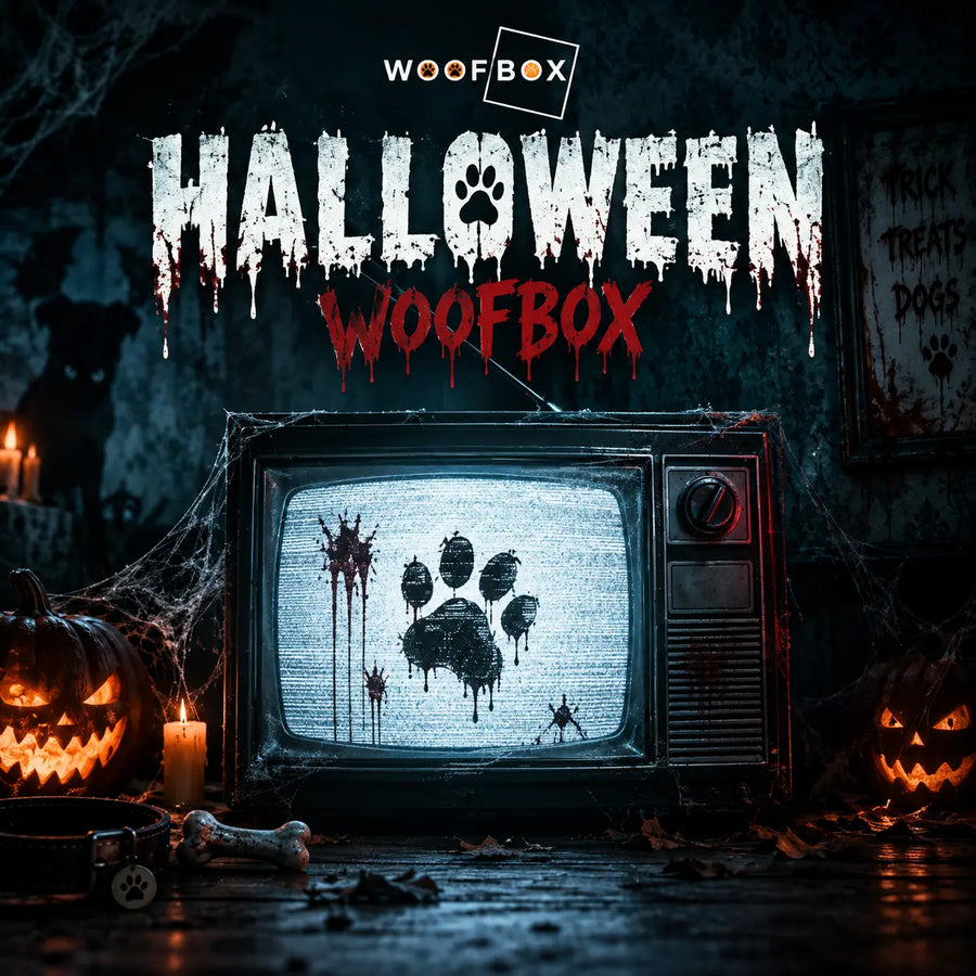 12-Monats-Abo Woofbox