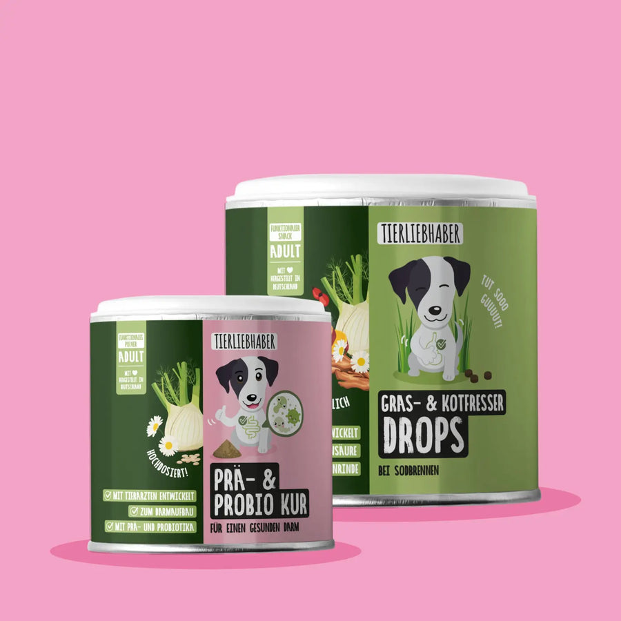 Sodbrennen-Bundle für Hunde Tierliebhaber