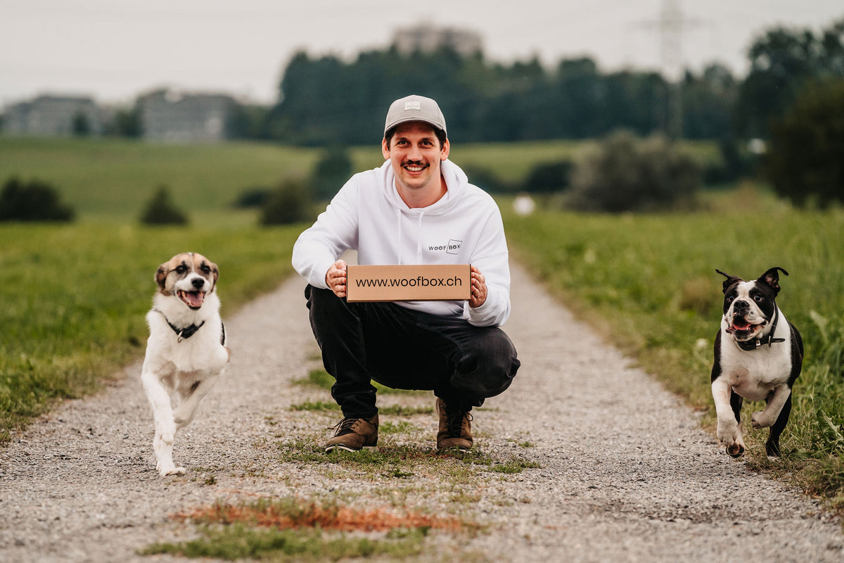 Woofbox Gründer mit zwei Hunden und Woofbox-Paket auf einem Feldweg