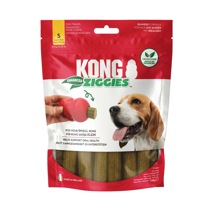KONG Ziggies KONG