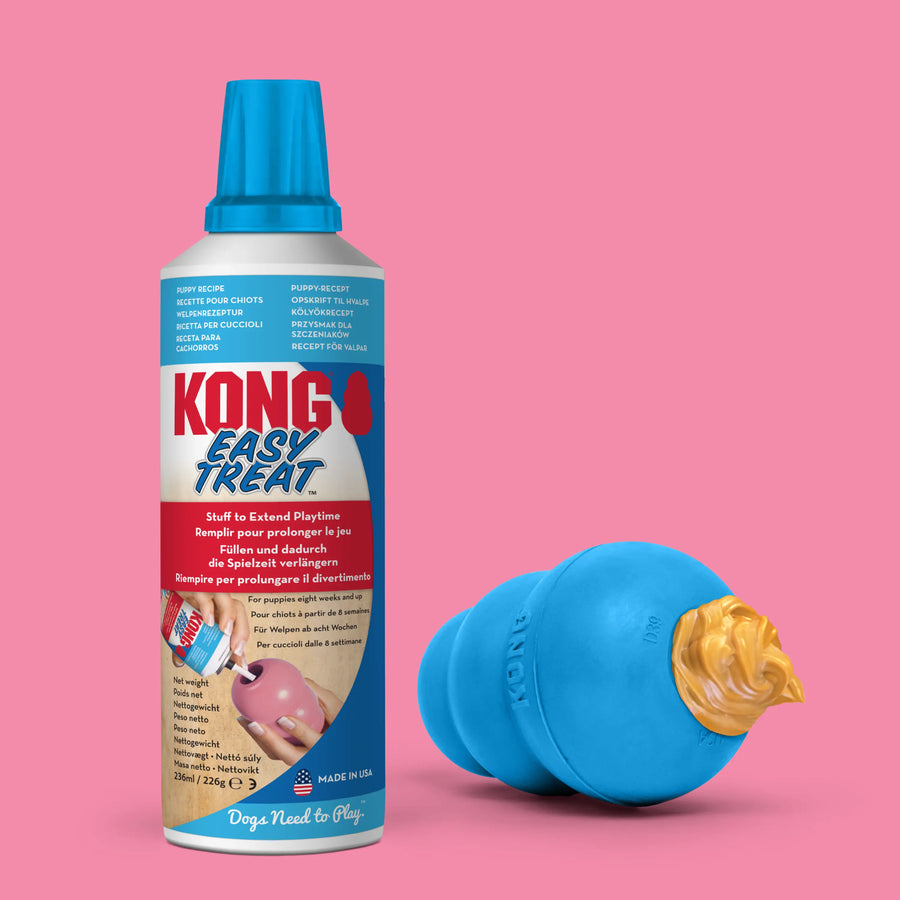 KONG Easy Treat Welpen KONG