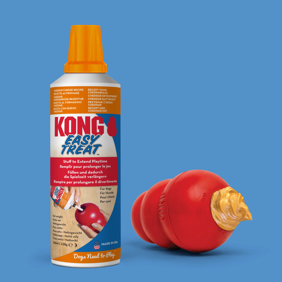 KONG Easy Treat KONG