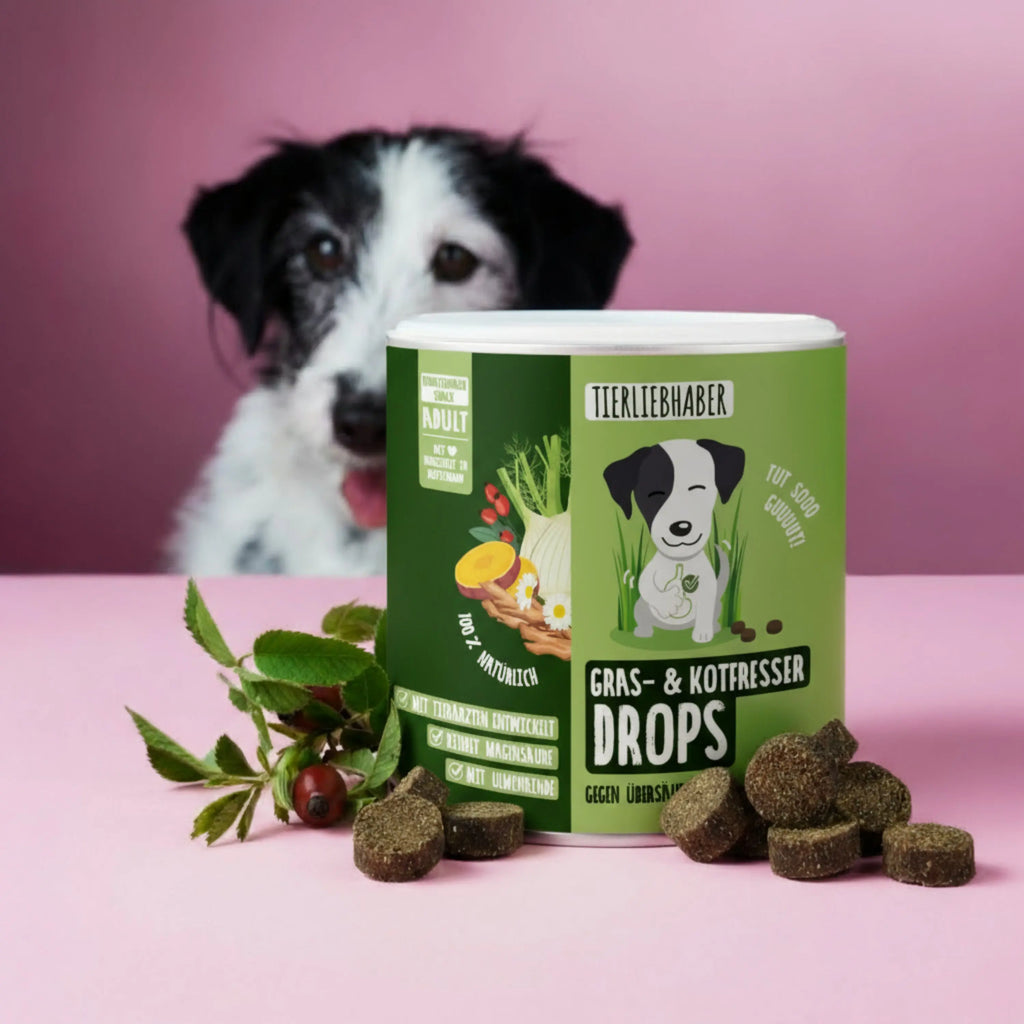 Sodbrennen-Bundle XL für Hunde