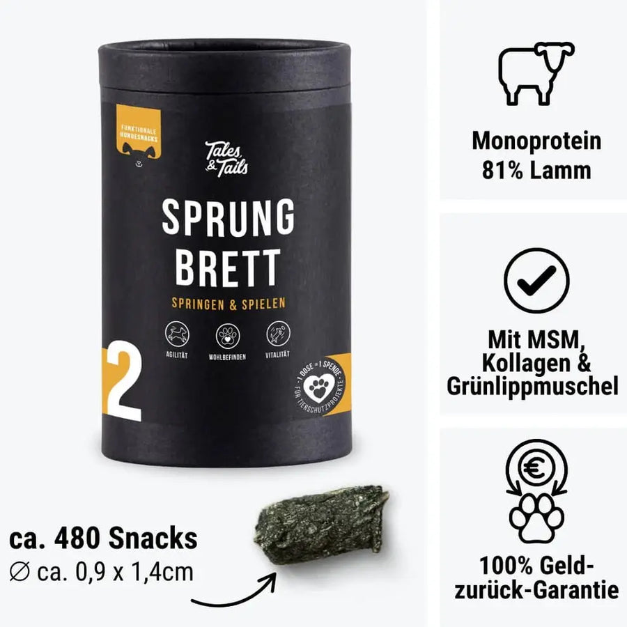 Nr. 2 Sprungbrett für Hunde Tales & Tails