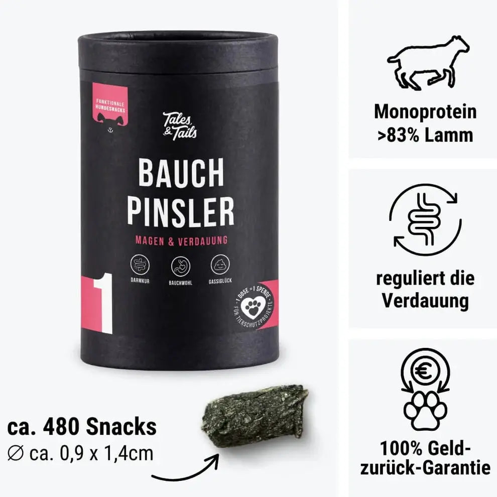 Tales & Tails Hundefutter - Woofbox