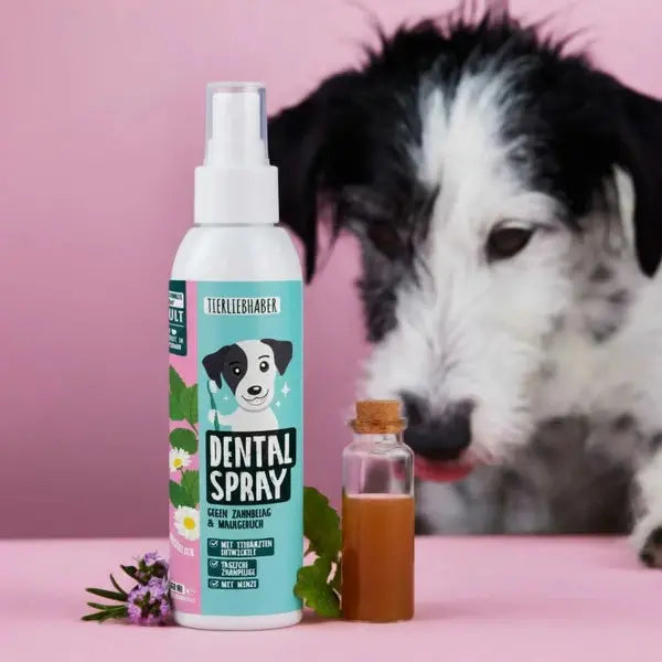 Dentalpflege-Bundle für Hunde Tierliebhaber