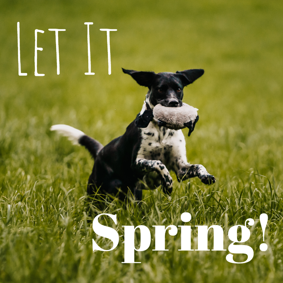 Let It Spring