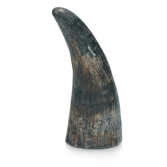 Vikinger Horn